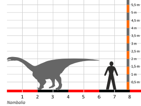 Größenvergleich / Dinodata.de. Creative Commons 4.0 International (CC BY 4.0)