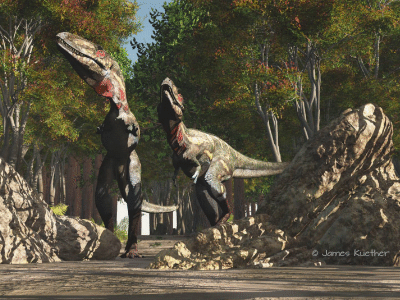 Nanotyrannus / © James Kuether