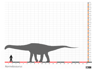 Größenvergleich / Dinodata.de. Creative Commons 4.0 International (CC BY 4.0) Größenvergleich / Dinodata.de. Creative Commons 4.0 International (CC BY 4.0)