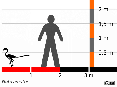 Größenvergleich / Dinodata.de. Creative Commons 4.0 International (CC BY 4.0) Größenvergleich / Dinodata.de. Creative Commons 4.0 International (CC BY 4.0)