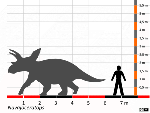 Größenvergleich © Dinodata.de. Creative Commons 4.0 International (CC BY 4.0) Größenvergleich / Dinodata.de. Creative Commons 4.0 International (CC BY 4.0)