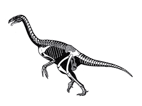Neimongosaurus / © Øyvind M. Padron. Verwendet mit freundlicher Genehmigung des Autors. Neimongosaurus / © Øyvind M. Padron. Verwendet mit freundlicher Genehmigung des Autors.