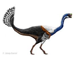 Nemegtomaia / © Josep Asensi. Verwendet mit freundlicher Genehmigung des Autors.