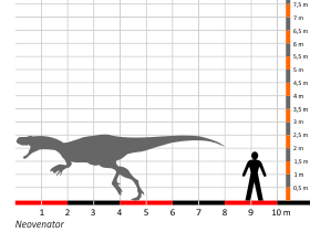 Größenvergleich © Dinodata.de. Creative Commons 4.0 International (CC BY 4.0) Größenvergleich © Dinodata.de. Creative Commons 4.0 International (CC BY 4.0)