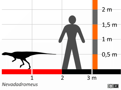 Größenvergleich / Dinodata.de. Creative Commons 4.0 International (CC BY 4.0)