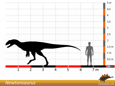 Größenvergleich / © Dinodata.de