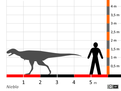 Größenvergleich / Dinodata.de. Creative Commons 4.0 International (CC BY 4.0) Größenvergleich / Dinodata.de. Creative Commons 4.0 International (CC BY 4.0)