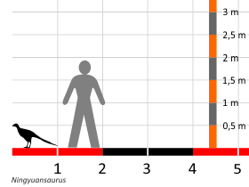 Grössenvergleich / Dinodata.de. Creative Commons 4.0 International (CC BY 4.0) Grössenvergleich / Dinodata.de. Creative Commons 4.0 International (CC BY 4.0)