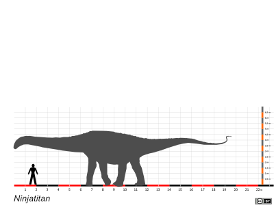 Größenvergleich / Dinodata.de. Creative Commons 4.0 International (CC BY 4.0) Größenvergleich / Dinodata.de. Creative Commons 4.0 International (CC BY 4.0)