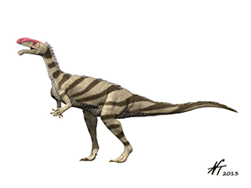 Noasaurus / © N. Tamura. Verwendet mit freundlicher Genehmigung des Autors Noasaurus / © N. Tamura. Verwendet mit freundlicher Genehmigung des Autors