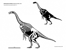 Nothronychus / © Scott Hartman. Verwendet mit freundlicher Genehmigung des Autors.