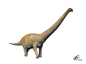 Notocolossus
/ © N. Tamura. Verwendet mit freundlicher Genehmigung des Autors Notocolossus
/ © N. Tamura. Verwendet mit freundlicher Genehmigung des Autors