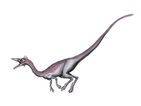 Nqwebasaurus / © Ezequiel Vera. Verwendet mit freundlicher Genehmigung des Autors Nqwebasaurus / © Ezequiel Vera. Verwendet mit freundlicher Genehmigung des Autors