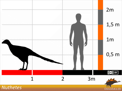 Größenvergleich / © Dinodata.de