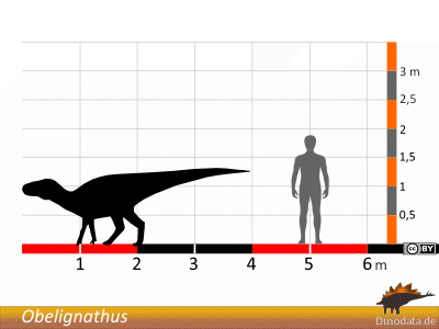 Größenvergleich / Dinodata.de. Creative Commons 4.0 International (CC BY 4.0)