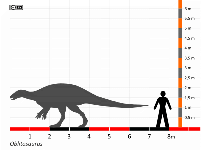 Größenvergleich / Dinodata.de. Creative Commons 4.0 International (CC BY 4.0)