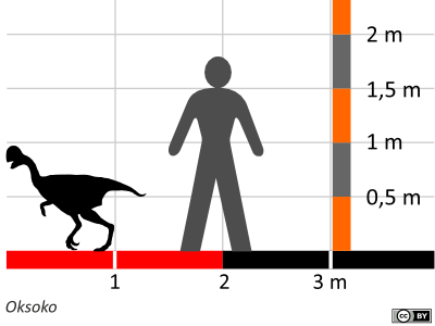 Größenvergleich / Dinodata.de. Creative Commons 4.0 International (CC BY 4.0) Größenvergleich / Dinodata.de. Creative Commons 4.0 International (CC BY 4.0)