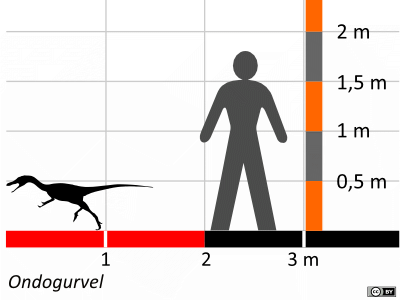 Größenvergleich / Dinodata.de. Creative Commons 4.0 International (CC BY 4.0) Größenvergleich / Dinodata.de. Creative Commons 4.0 International (CC BY 4.0)