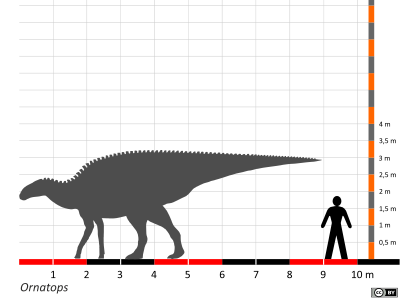 Größenvergleich / Dinodata.de. Creative Commons 4.0 International (CC BY 4.0)