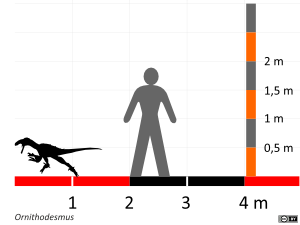 Größenvergleich / Dinodata.de. Creative Commons 4.0 International (CC BY 4.0)