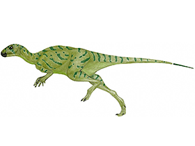 Othnielosaurus / © Mineo Shiraishi. Verwendet mit freundlicher Genehmigung des Autors.