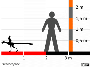 Größenvergleich / Dinodata.de. Creative Commons 4.0 International (CC BY 4.0)