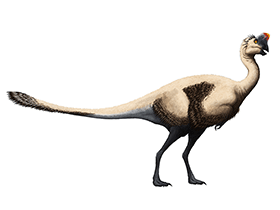 Oviraptor / © Edyta Felcyn-Kowalska. Verwendet mit freundlicher Genehmigung der Autorin Oviraptor / © Edyta Felcyn-Kowalska. Verwendet mit freundlicher Genehmigung der Autorin