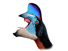 Oviraptor / © Jan-Ake Winqvist Oviraptor / © Jan-Ake Winqvist. Verwendet mit freundlicher Genehmigung des Autors.