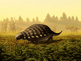 Panoplosaurus / Julius T. Csotonyi. Creative Commons 4.0 International (CC BY 4.0) Panoplosaurus / Julius T. Csotonyi. Creative Commons 4.0 International (CC BY 4.0)