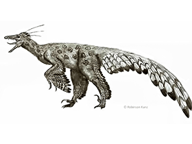 Philovenator / © Robinson Kunz. Verwendet mit freundlicher Genehmigung des Autors