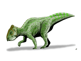 Prenoceratops / © N. Tamura. Verwendet mit freundlicher Genehmigung des Autors. Prenoceratops / © N. Tamura. Verwendet mit freundlicher Genehmigung des Autors.