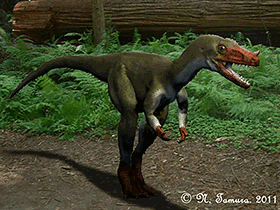 Proceratosaurus / © N. Tamura. Verwendet mit freundlicher Genehmigung des Autors. Proceratosaurus / © N. Tamura. Verwendet mit freundlicher Genehmigung des Autors.