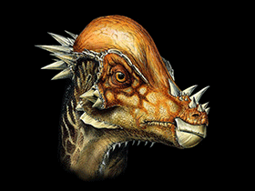 Pachycephalosaurus / © Davide Bonadonna. Verwendet mit freundlicher Genehmigung des Autors.