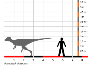 Größenvergleich © Dinodata.de. Creative Commons 4.0 International (CC BY 4.0) Größenvergleich © Dinodata.de. Creative Commons 4.0 International (CC BY 4.0)
