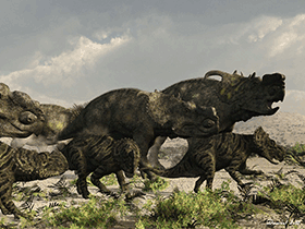 Pachyrhinosaurus / © Raul Lunia Pachyrhinosaurus / © Raul Lunia. Verwendet mit freundlicher Genehmigung des Autors..