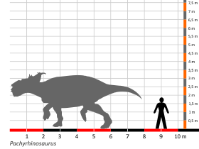 Größenvergleich © Dinodata.de. Creative Commons 4.0 International (CC BY 4.0) Größenvergleich © Dinodata.de. Creative Commons 4.0 International (CC BY 4.0)