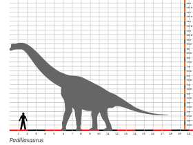 Größenvergleich / Dinodata.de. Creative Commons 4.0 International (CC BY 4.0)