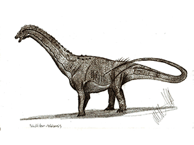 Paludititan / © Robinson Kunz. Verwendet mit freundlicher Genehmigung des Autors Paludititan / © Robinson Kunz. Verwendet mit freundlicher Genehmigung des Autors