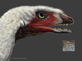 Panguraptor / © Eloy Manzanero. Verwendet mit freundlicher Genehmigung des Autors.