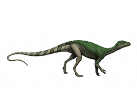 Pantydraco / © Andrey Atuchin. Verwendet mit freundlicher Genehmigung des Autors.