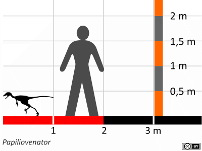 Größenvergleich / Dinodata.de. Creative Commons 4.0 International (CC BY 4.0)