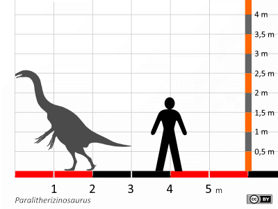 Größenvergleich / Dinodata.de. Creative Commons 4.0 International (CC BY 4.0)