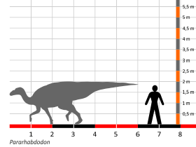 Größenvergleich © Dinodata.de. Creative Commons 4.0 International (CC BY 4.0) Größenvergleich © Dinodata.de. Creative Commons 4.0 International (CC BY 4.0)