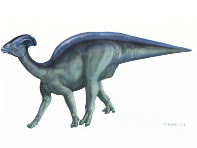 Parasauralophus / &copy; Karen Carr. Verwendet mit freundlicher Genehmigung des Autorin.