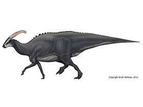 Parasaurolophus / © Scott Hartman Parasaurolophus / © Scott Hartman. Verwendet mit freundlicher Genehmigung des Autors.