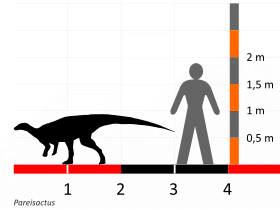 Größenvergleich © Dinodata.de. Creative Commons 4.0 International (CC BY 4.0) Größenvergleich / Dinodata.de. Creative Commons 4.0 International (CC BY 4.0)