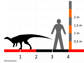 Größenvergleich / Dinodata.de. Creative Commons 4.0 International (CC BY 4.0)