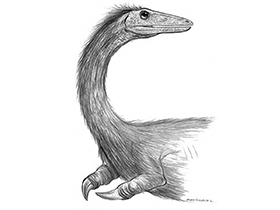 Patagonykus / © Bruno Hernandez. Verwendet mit freundlicher Genehmigung des Autors Patagonykus / © Bruno Hernandez. Verwendet mit freundlicher Genehmigung des Autors