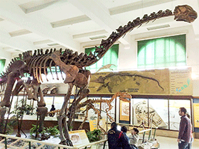 Patagosaurus / Luciana Monte. Creative Commons NonCommercial-ShareAlike 2.0 Generic (CC BY-NC-SA 2.0) Patagosaurus / Luciana Monte. Creative Commons NonCommercial-ShareAlike 2.0 Generic (CC BY-NC-SA 2.0)