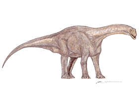 Patagosaurus / © Mineo Shiraishi. Verwendet mit freundlicher Genehmigung des Autors. Patagosaurus / © Mineo Shiraishi. Verwendet mit freundlicher Genehmigung des Autors.